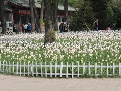 -迎泽公园