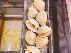 黄蚬子-KAOKAO烤烤·丹东海鲜烧烤(望京店)