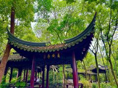 -上海佘山国家森林公园天马山园