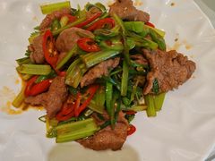 -骏莱海鲜鱼港(五角场店)