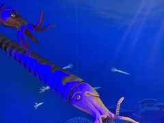 -国家自然博物馆