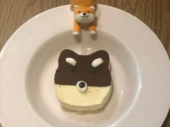 -柴务处·柴犬主题狗咖