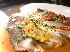 老坛剁椒蒸有机鱼头-举炊·寻湘记·新鲜现炒(临平西子国际店)
