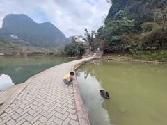 -靖西鹅泉风景区