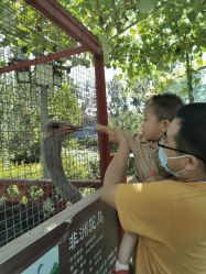 -萌宠亲子动物乐园(槐房万达店)