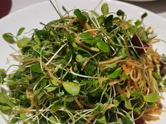 -大鸭梨烤鸭店(花园村店)