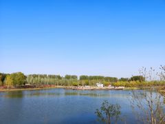 -东郊湿地公园