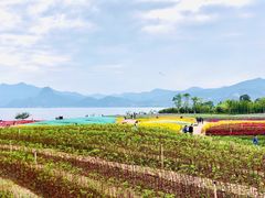 -抚仙湖禄充风景区