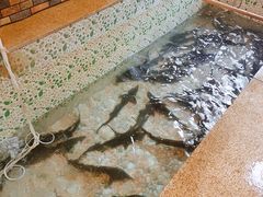 -荣德灶台鱼(圣泉寺店)