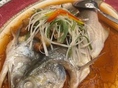 -浦华大酒店-台南担仔面海鲜楼