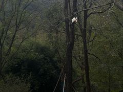 -黄公望隐居地