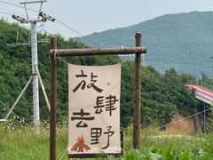 -铜川市金锁关石林