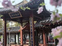 -桃花堤公园
