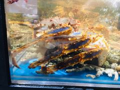 -太二酸菜鱼(深圳布吉万象汇店)