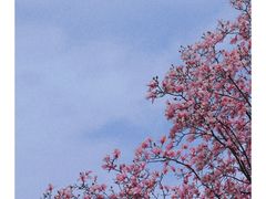 -九皇山景区