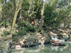 -兰亭风景区
