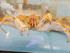 -都市阳光海鲜城(青山湖店)