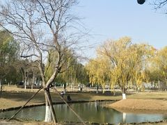 -武昌江滩