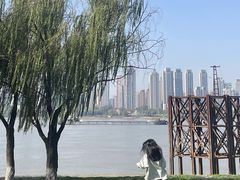 -武昌江滩