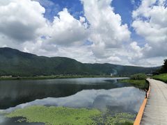 -腾冲北海湿地