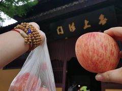 -西园戒幢律寺
