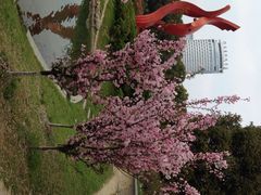 iphone_upload_pic-天鹅湖体育公园
