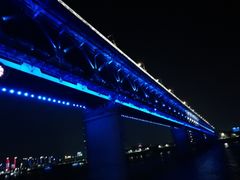 -武汉两江游览·夜游长江(汉口粤汉码头)