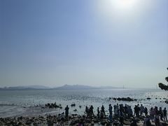 -深圳湾公园(南山区)