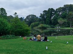 -墨尔本皇家植物园