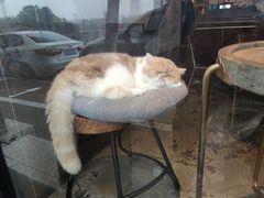 -爆炸头阿姨小四川正宗川味小吃(无任何分店)