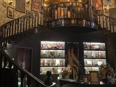 -雪灵魔法世界SHELLY’S TAROT(大良桂畔里店)