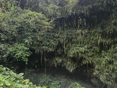 -海口火山口国家地质公园