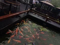 -濮园 · 四合院餐厅