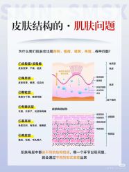 点击看大图 -玛莲朵·海菲秀冰珀科