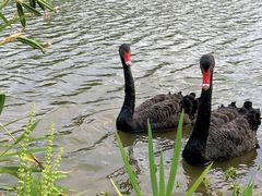 -华东政法大学(松江校区)