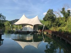 -帐篷客·溪龙茶谷度假酒店