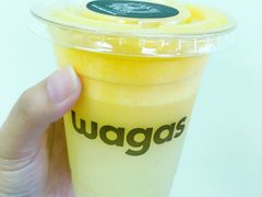 -Wagas沃歌斯(大学路店)