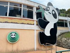 -石排湾郊野公园