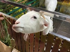 -上海大自然野生昆虫馆