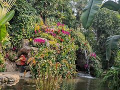 -郑州植物园