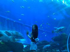 -成都浩海立方海洋公园