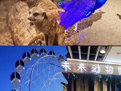-摩天活力城·摩天轮