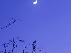 -亮马河饭店翠雅咖啡厅