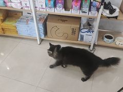 -瑞鹏·疫苗·绝育·宠物医院(金沙洲店)