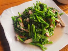 -阿巧茶庄