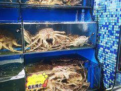 -蚝专家(北滘店)