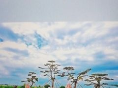 -黑龙江扎龙生态旅游区