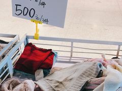 -雪莲品牌工厂店