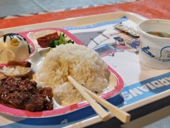 -海合安武汉极地海洋公园