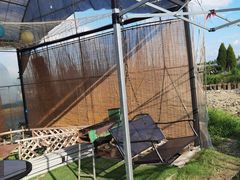 -美家乐农庄·露营·团建(大治路店)